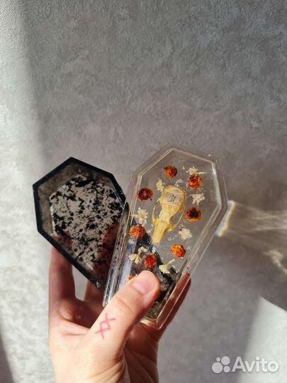 Шкатулка готика гроб кости таксидермия