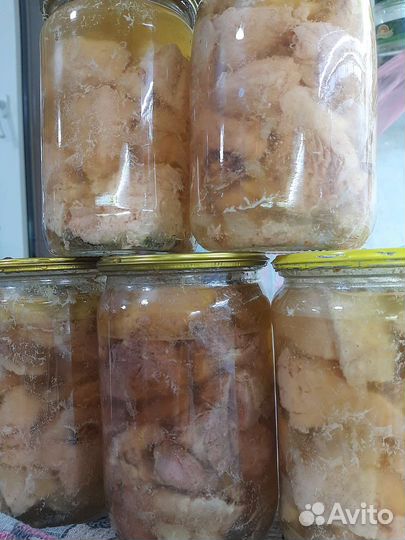 Домашняя тушенка из индейки,индоутки,гуся,свинины