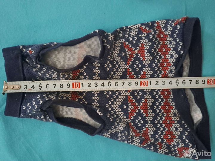 Одежда для кошек