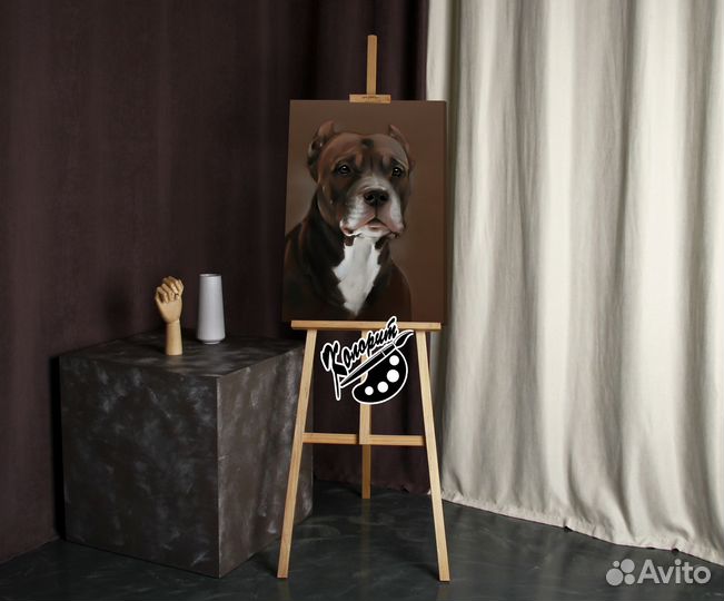 Рисунок американский стаффордширский терьер