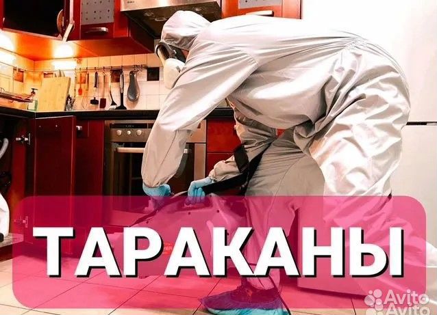 Дезинфекция. Уничтожение тараканов. Травля клопов