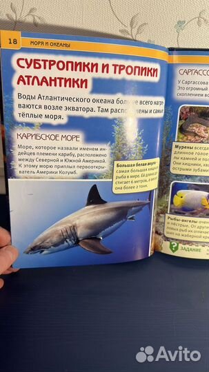 Детская энциклопедия Моря и Океаны