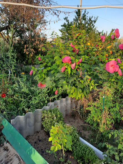 Дача 38 м² на участке 5,7 сот.