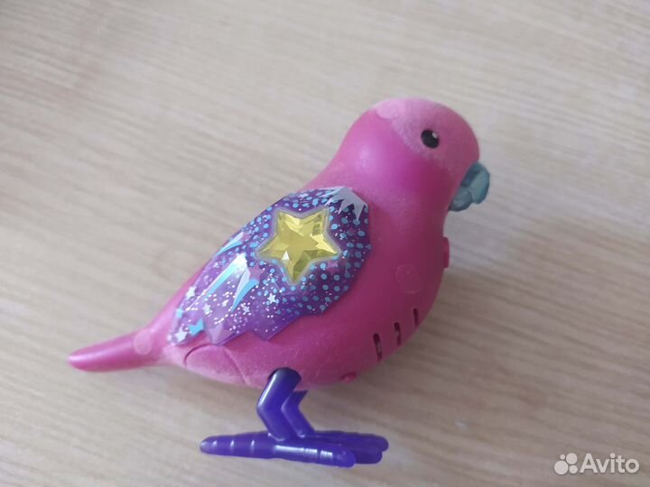 Птичка поющая