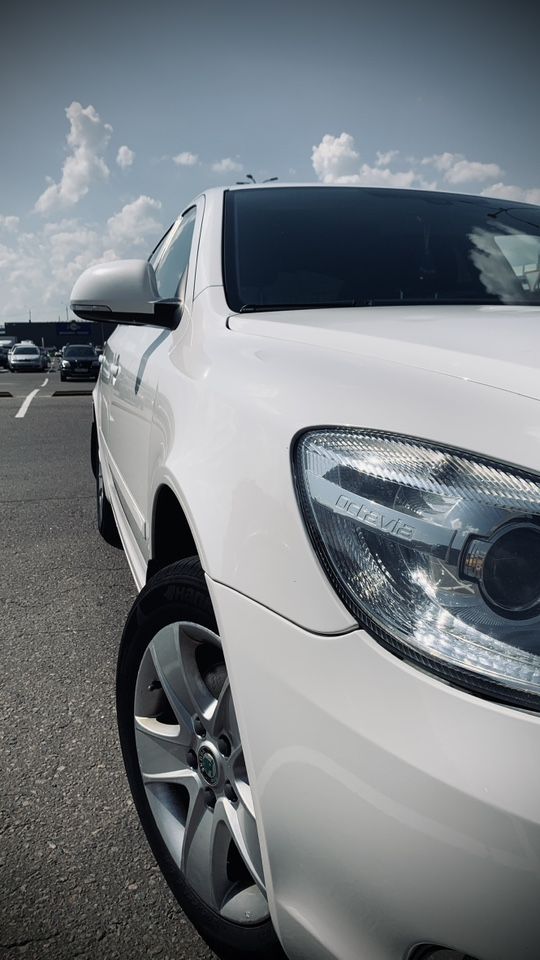 Skoda Octavia: фото владельца