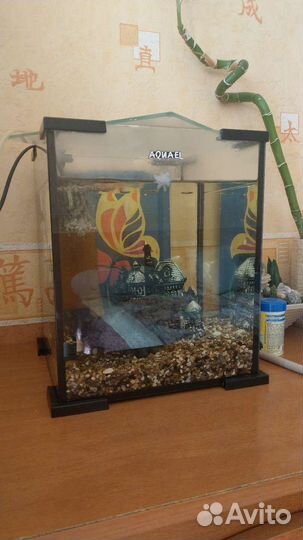 Аквариум