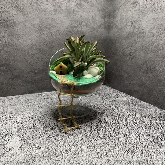 Флорариумы и моссариумы