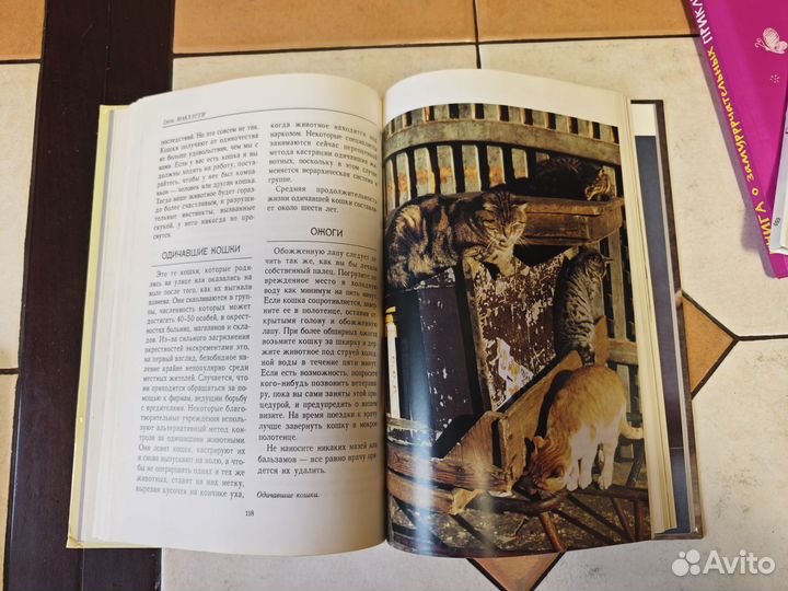 О кошках 3шт