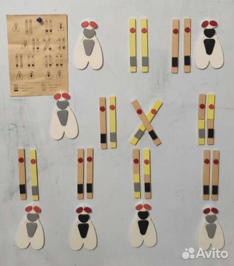 Пособие динамическое перекрест хромосом (биология)