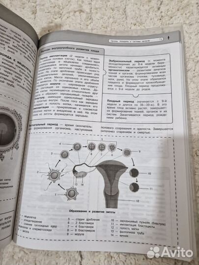 Справочник по биологии ОГЭ/ЕГЭ Мазур, Никитинская