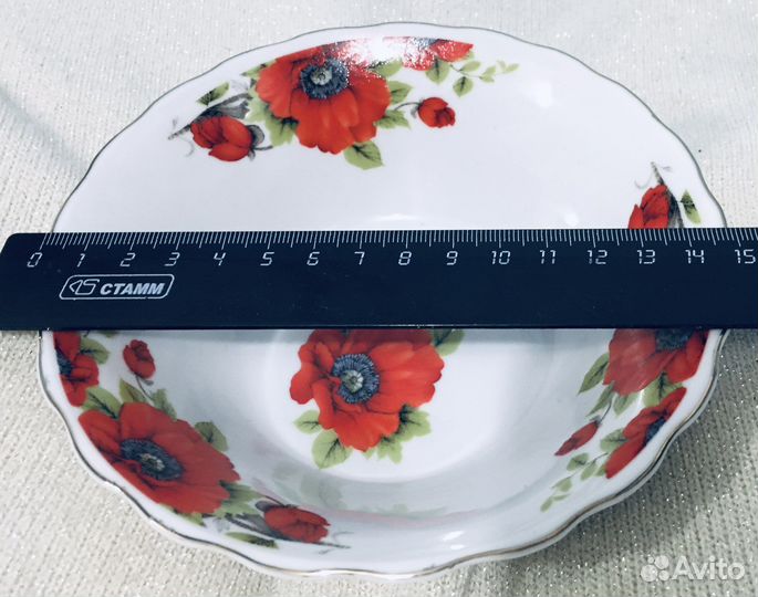 Polsport.Polsca+Salomon.France-лыжи с креплениями