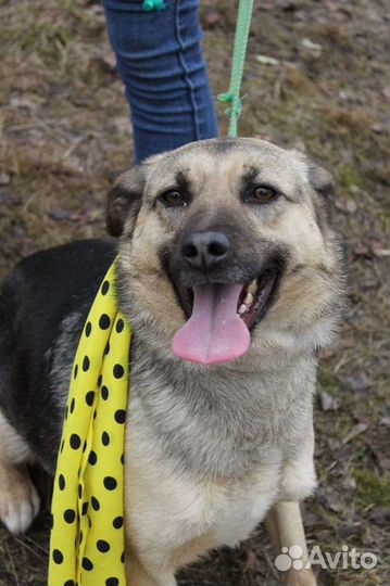 Маленькую Октавию выбросили умирать