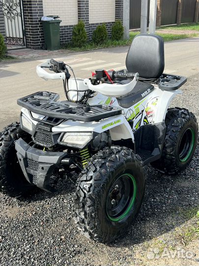 Квадроцикл Motoland Wild 125