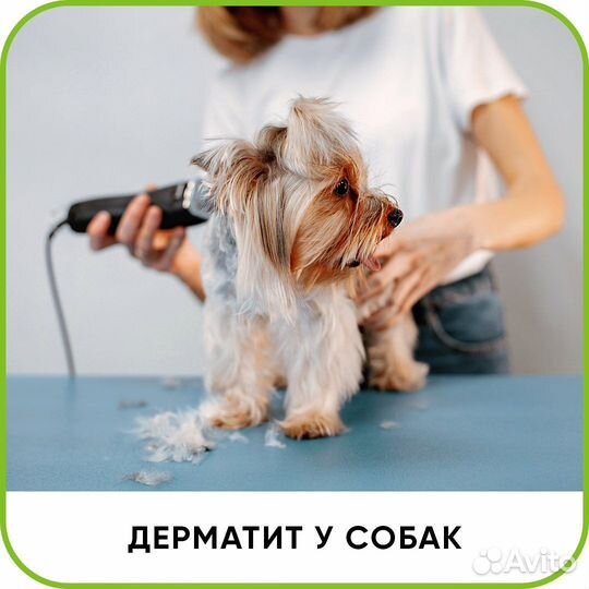 Скорая ветеринарная помощь. Выезд на дом