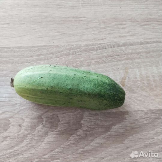 Огурцы домашние