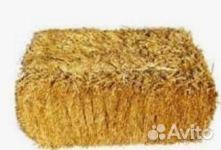 Сено луговое в рулонах и в квадратных тюках