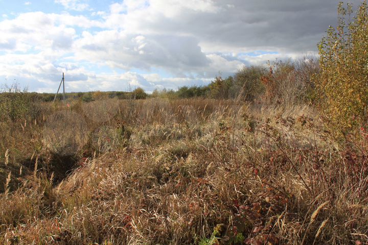 Участок 10 сот. (СНТ, ДНП)