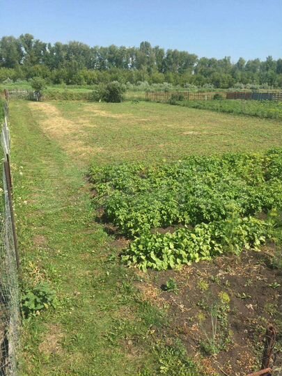 Участок 8 сот. (ИЖС)