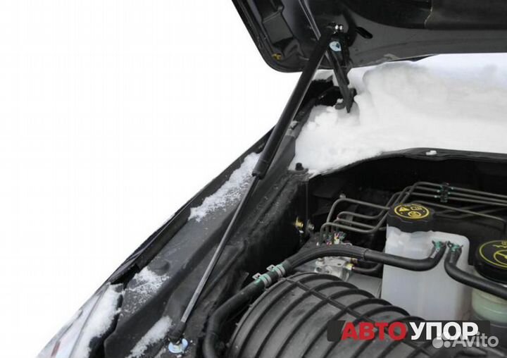 Газовые Упоры Капота Chevrolet Trailblazer 2 2012