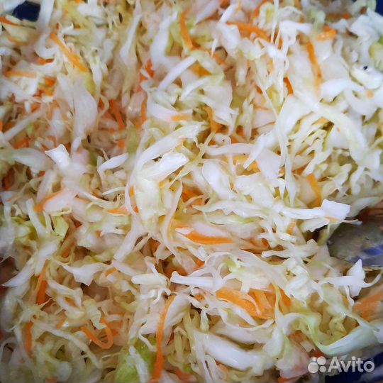 Капуста квашенная. Ферментированная капуста