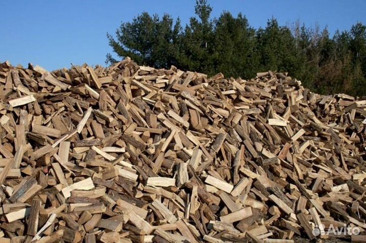 Дрова ольха осина береза