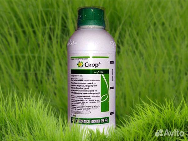 Фунгициды, гербициды, инсектициды, акарициды