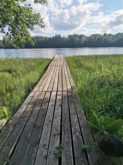 Коттедж 60 м² на участке 2 га