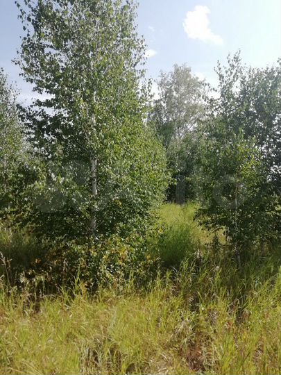 Участок 11 сот. (ИЖС)