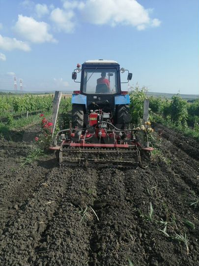 Участок 4 га (СНТ, ДНП)