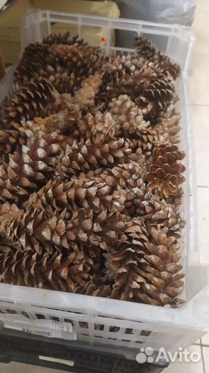 Набор для поделок в школу