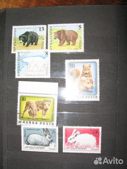 Почтовые марки (зарубежные) - фауна - животные