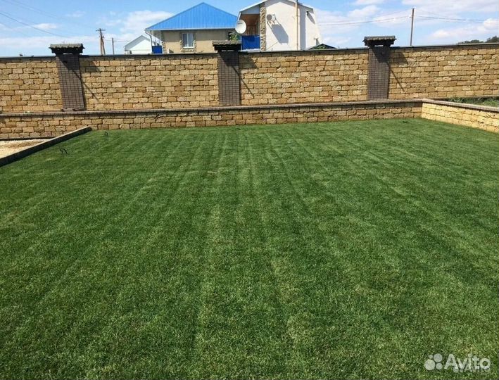 Рулонный газон/продажа
