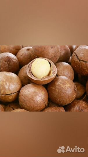 Макадамия орех урожай 2023