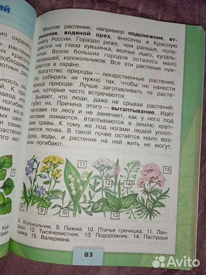 Окружающий мир 3 класс учебник плешаков