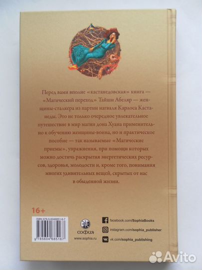 Тайша Абеляр 