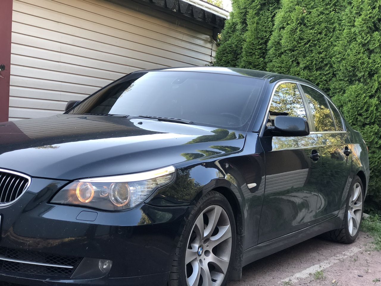 BMW 5 серия: фото владельца