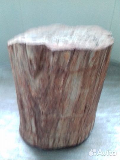 Окаменевшее дерево