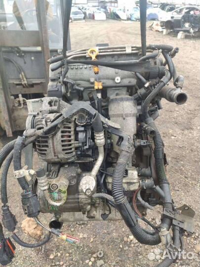 Bay Двигатель Volkswagen Polo 4 2004 1.4 дизель