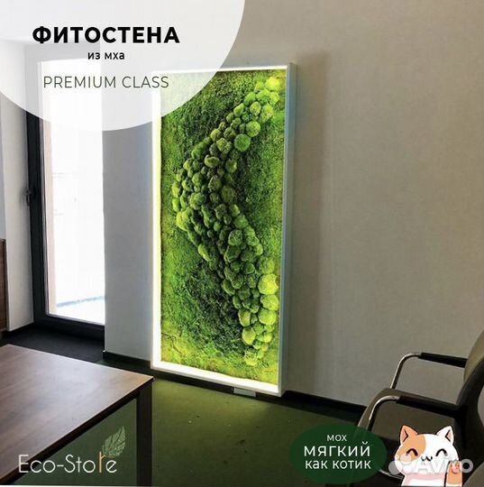 Фитостена из мха с подсветкой