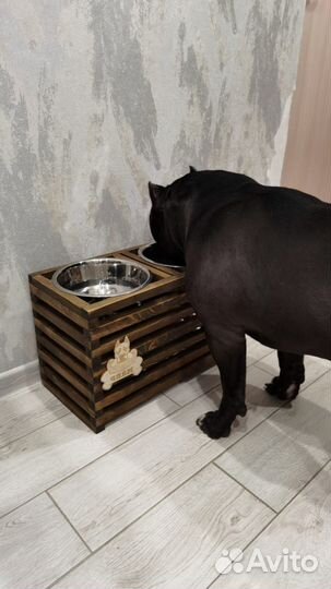 Миски на подставке для собак