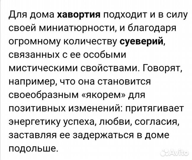 Хавортия полосатая