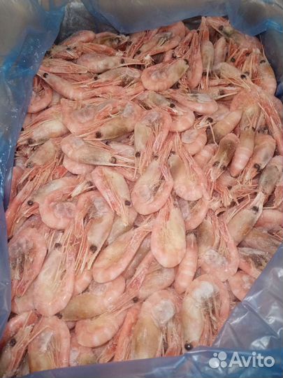 Креветки Икряные Гренландия 80/100