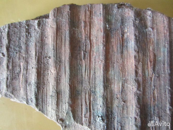 Окаменелость Окаменелое дерево. Сигиллярия