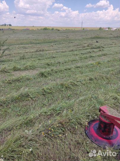 Сено солома в тюках