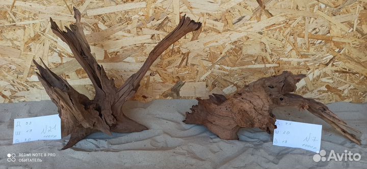 Красивые Коряжки