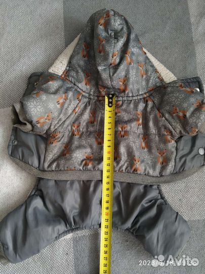 Одежда животных