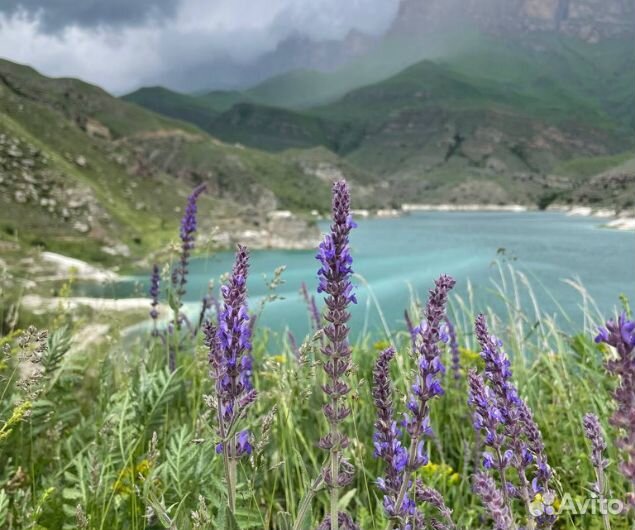Джипп туры, экскурсии, полеты на парапланах