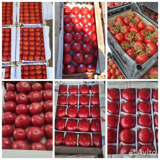 Томат в ассортименте