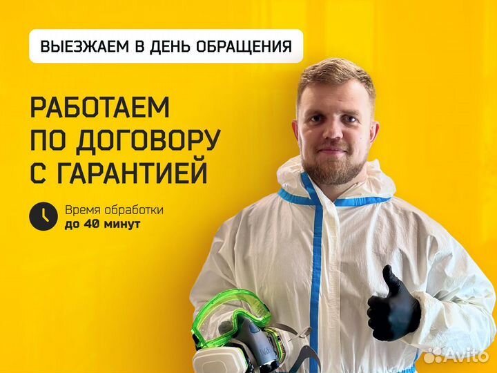 Дезинфекция Уничтожение плесени, грибка