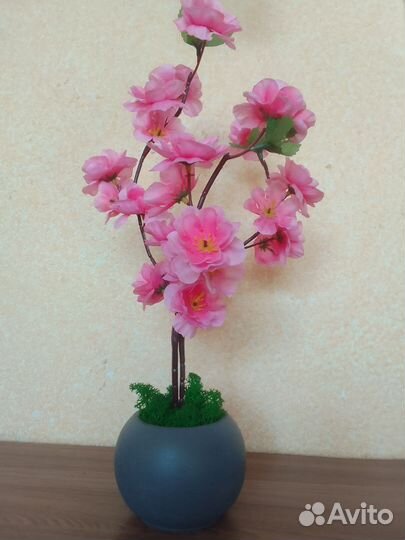 Сакура в гипсовом кашпо